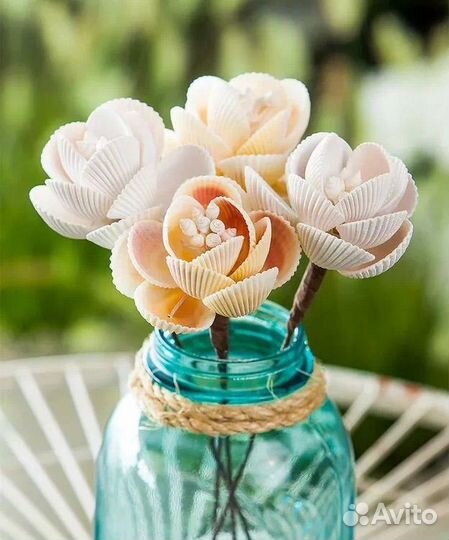 Камень ракушка