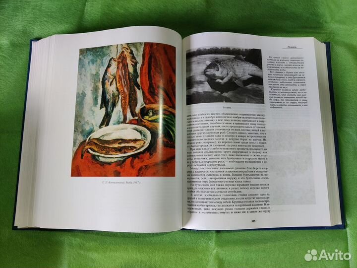 Жизнь и ловля пресноводных рыб