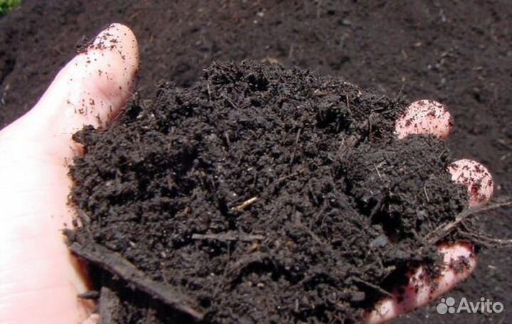 Растительный грунт