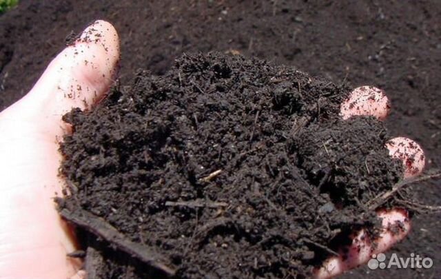 Растительный грунт