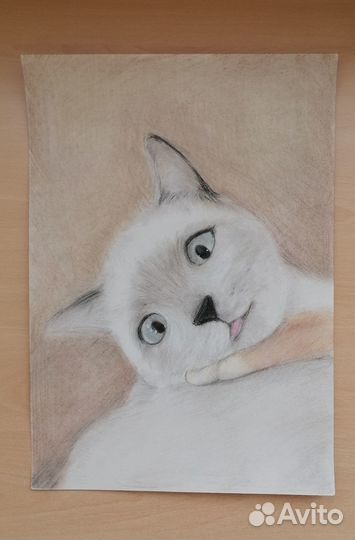 Картины с котами