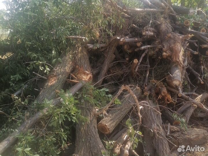 Дрова самовывоз