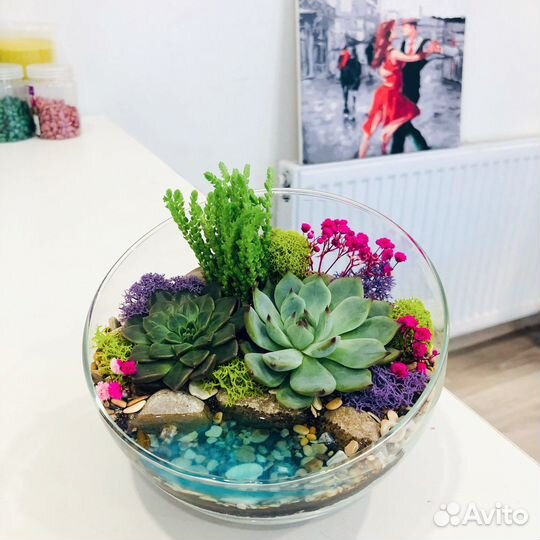 Флорариум суккулентами