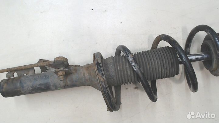 Амортизатор подвески Ford Transit, 2011