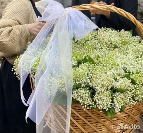 Ландыши/букет ландышей с доставкой