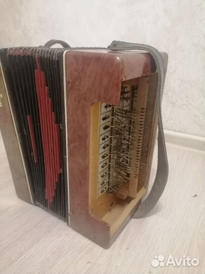 Гармонь ивушка