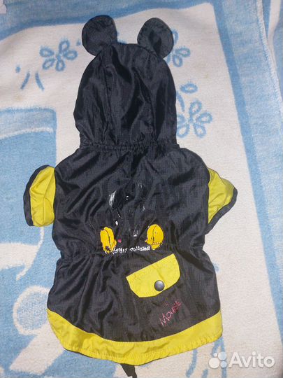 Одежда для собак