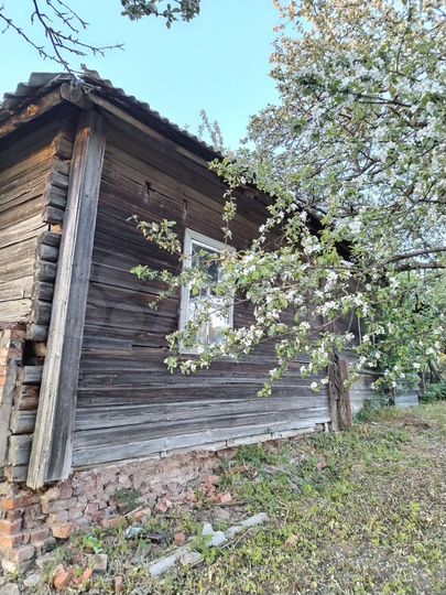 Дом 50 м² на участке 10 сот.