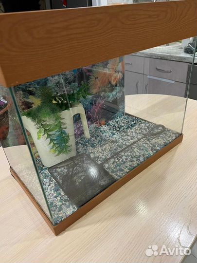 Аквариум+Украшение для аквариума, 30л