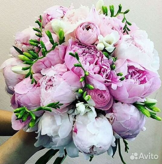 Пионы Букет пионов Доставка цветов