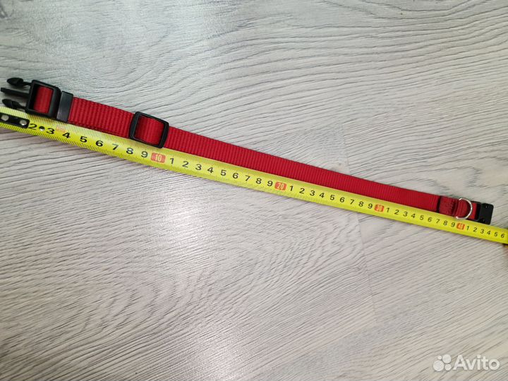 Ошейник и поводок