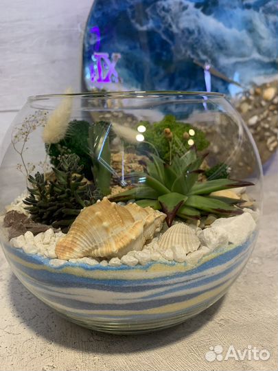 Флорариум/готовый подарок в наличии