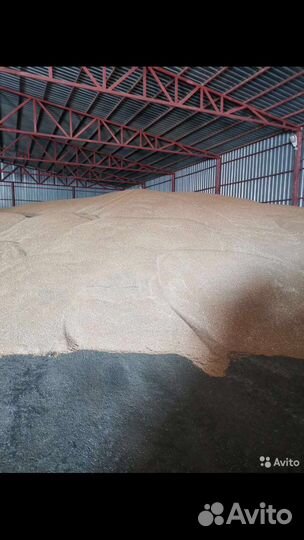 Ячмень оптом