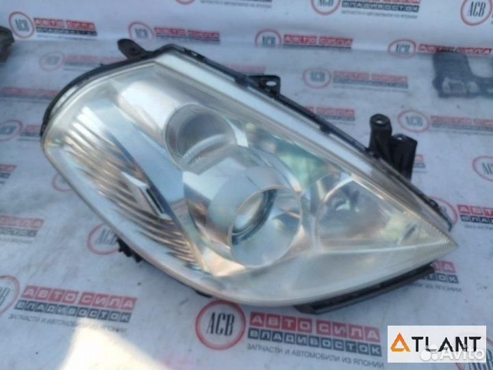 Фара правая nissan tiida