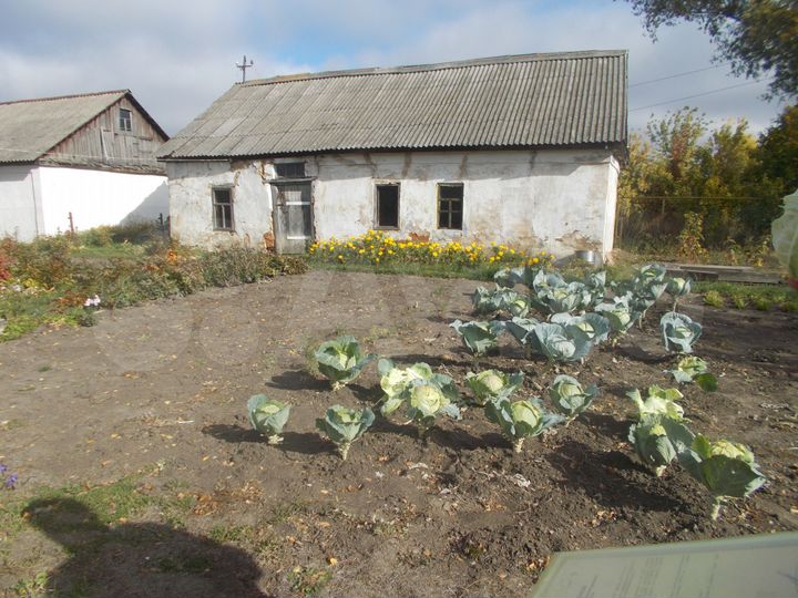 Дом 27,1 м² на участке 30 сот.