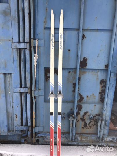 Беговые лыжи Karjala Sport plastik