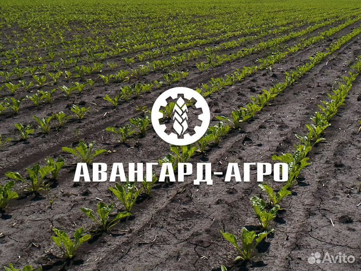 Агроном (без опыта работы)