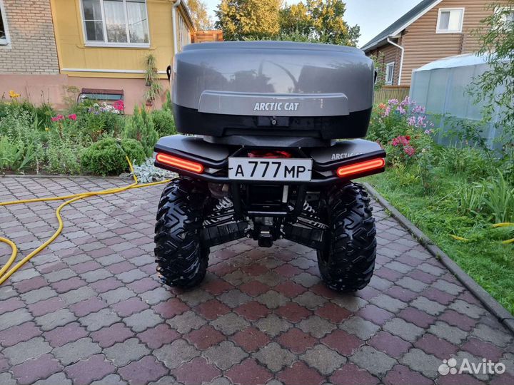 Arctic cat 1000