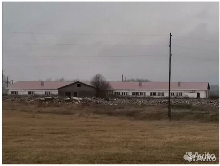 Животноводческая ферма