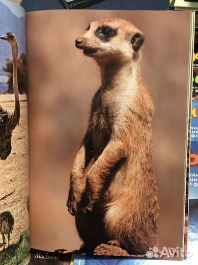 Книги детские