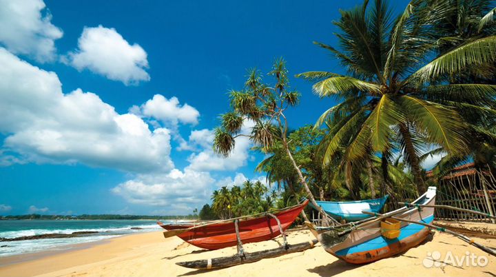 Путевка Шри-ланка с вылетом