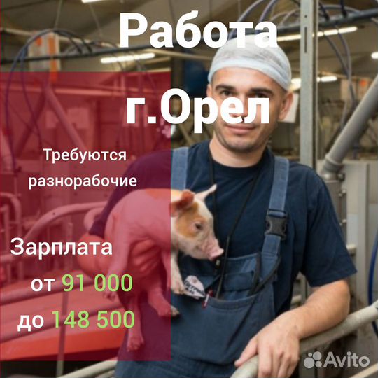 Грузчик / разнорабочий