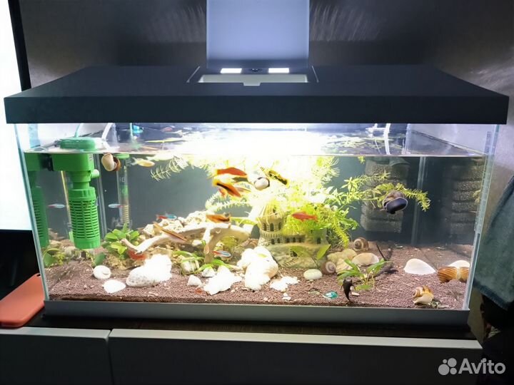 Аквариум aquael 54 литра