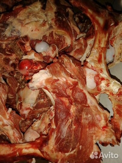 Отходы на корма для животных