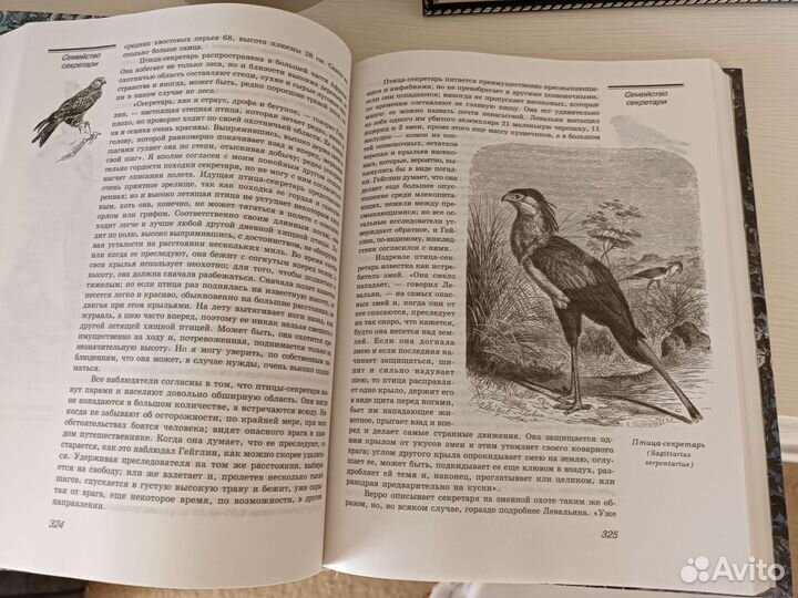 Книги Альфред Брэм Птицы