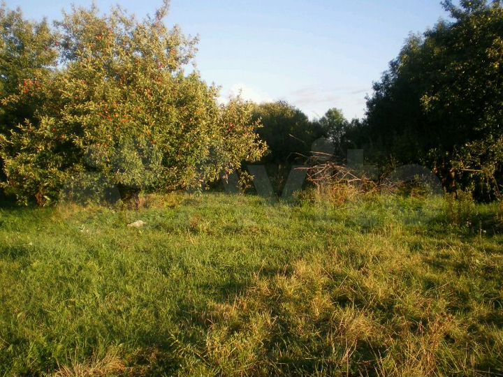 Участок 42 сот. (ИЖС)