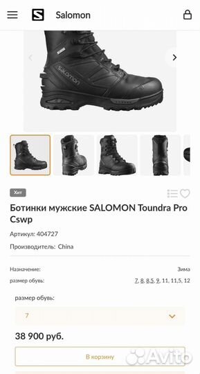 Salomon toundra pro 45-46р