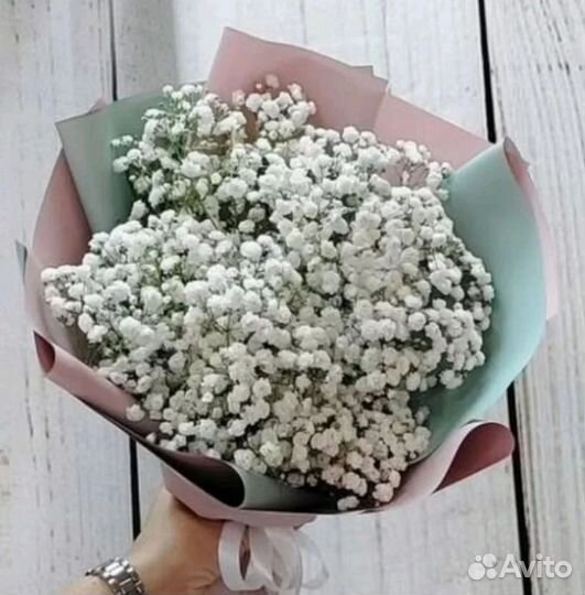 Букет Гипсофилы Доставка Самовывоз Купить