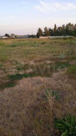 Участок 15 сот. (ИЖС)