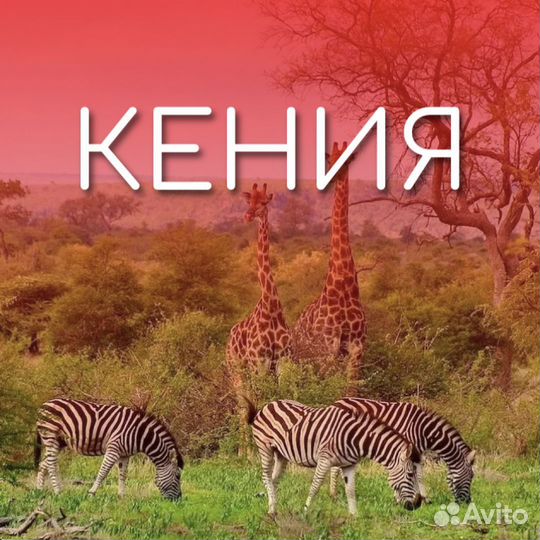 Тур в Кению