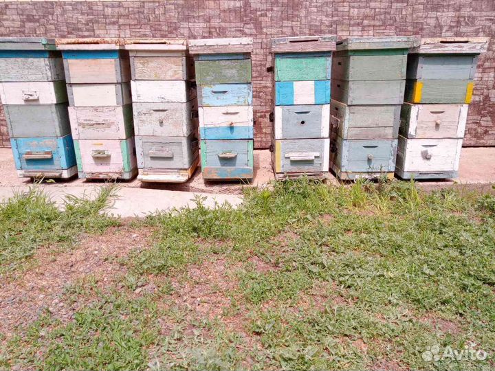 Улей для пчел, рамки