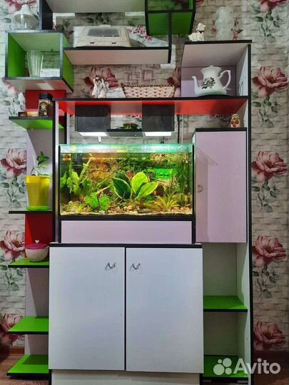 Аквариум