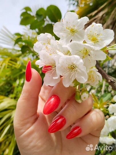 Маникюр, Педикюр 