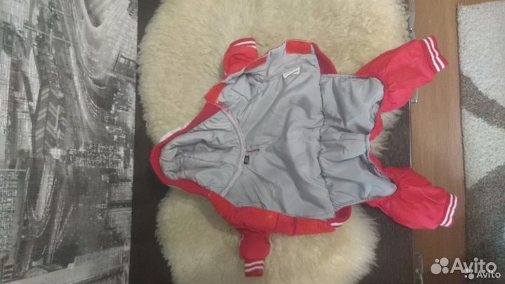 Костюм для собачки