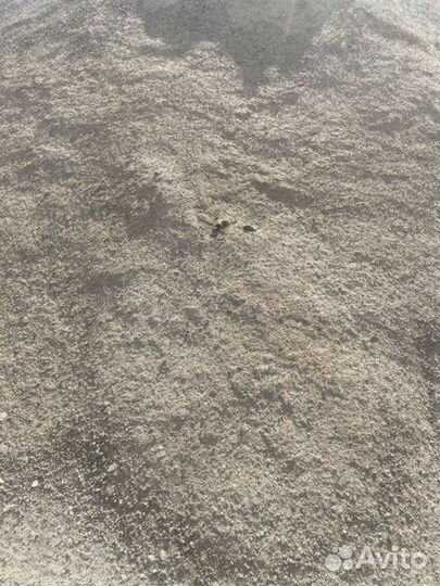 Плодородная земля