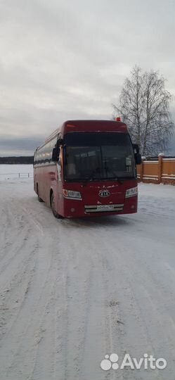 Пассажирские перевозки