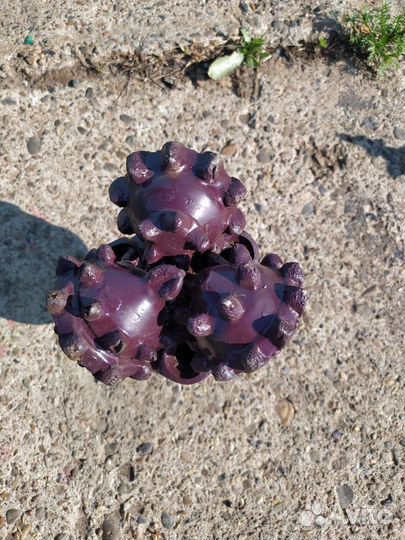 Буровое долото шарошечное