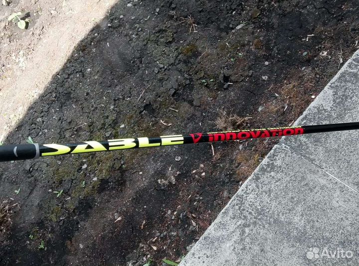 Беговые лыжи