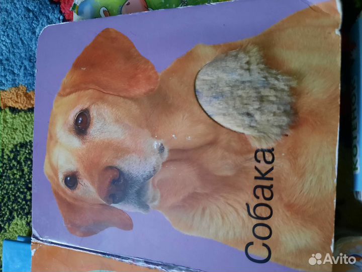 Обучающие карточки для малышей