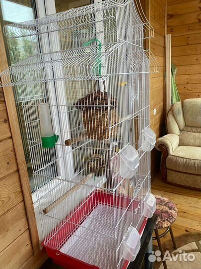Большая клетка для птиц