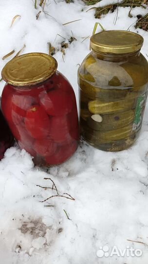 Огурцы маринованные