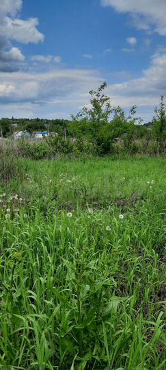 Участок 14 сот. (ИЖС)