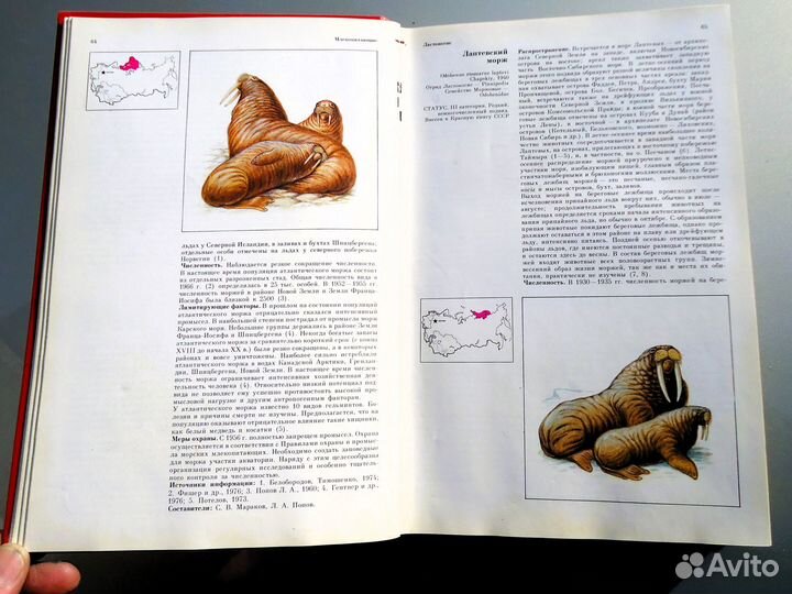 Красная книга