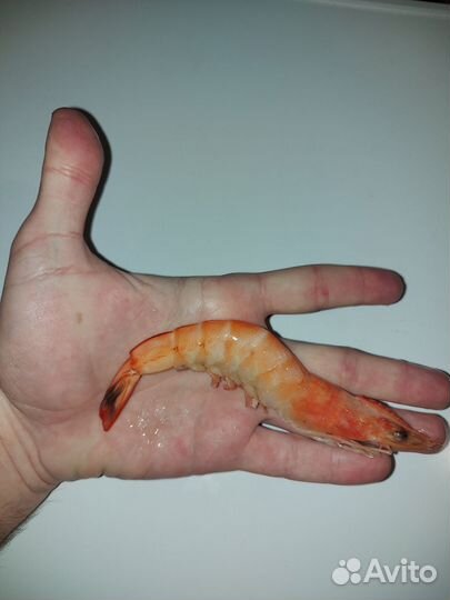 Креветки ваннамей