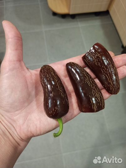 Семена перцев Халапеньо