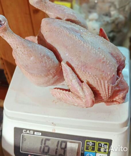 Мясо цыплёнка бройлера
